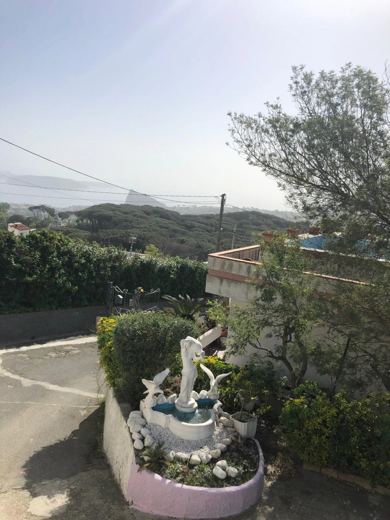 Casa Vacanza Ischia Villa Lesto