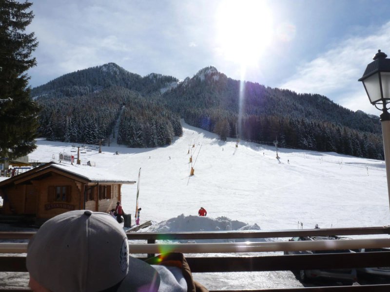 Hotel Des Alpes