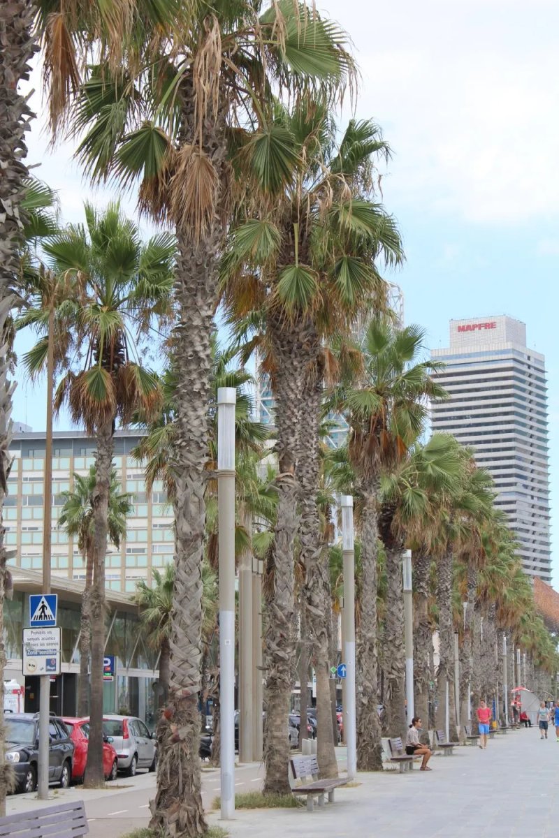 Hostal Nuevo Colon