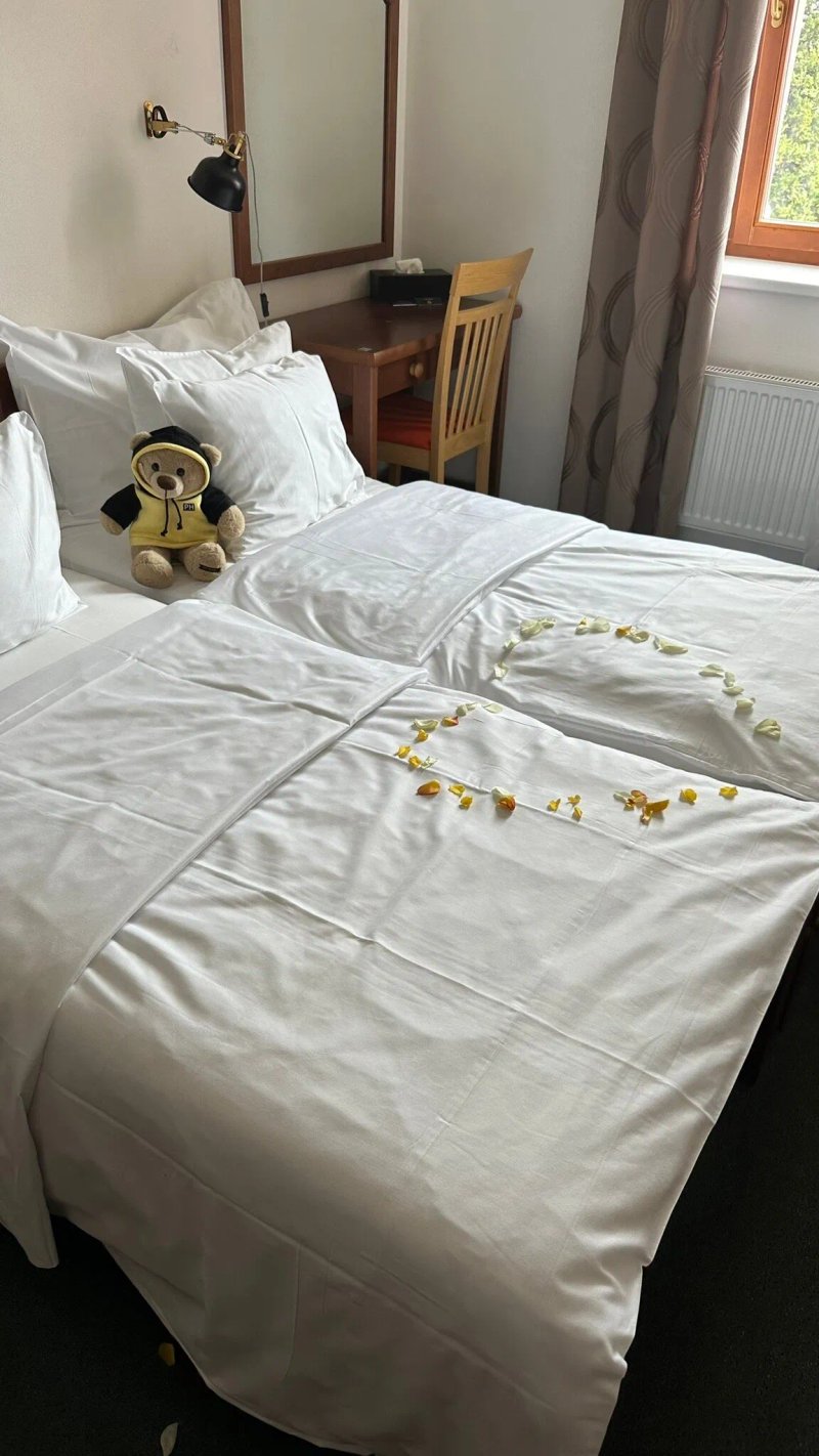 Pytloun Wellness Hotel Hasistejn