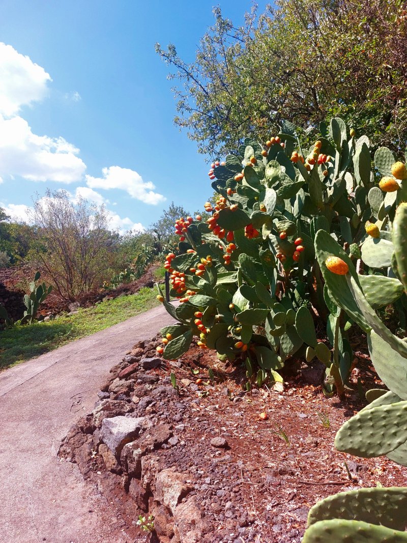 Cavanera Etnea Resort & Wine Experience