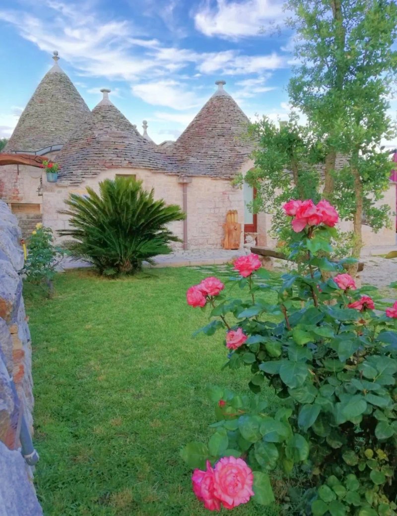 Bed & Breakfast La Rosa dei Trulli