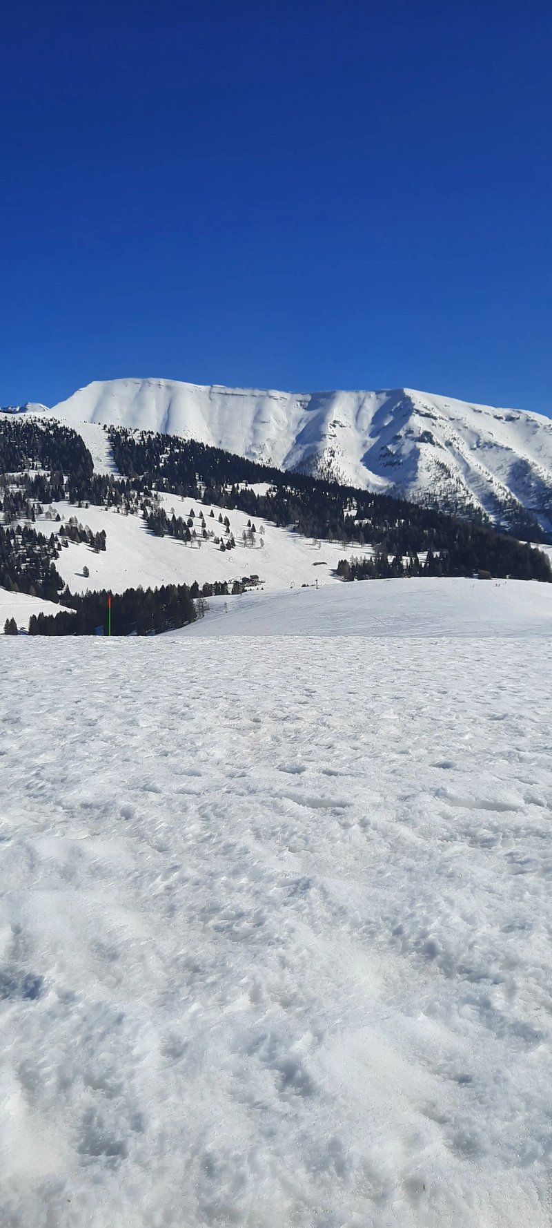 Rifugio Larici da Alessio