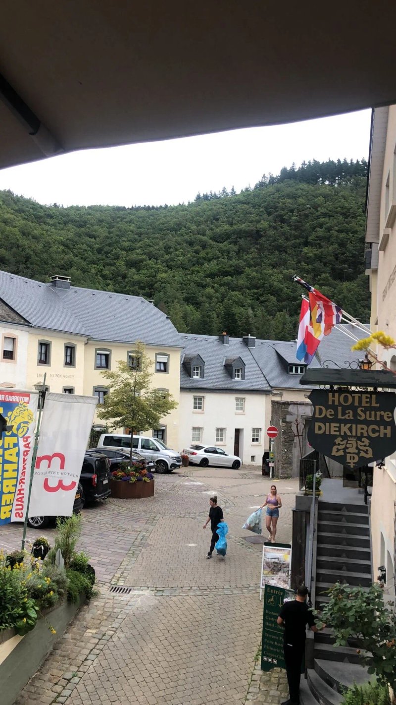 Logis Gourmet & Relax Hôtel de la Sûre