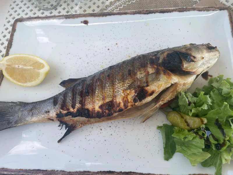 Octopus Beach Bar & Restaurant