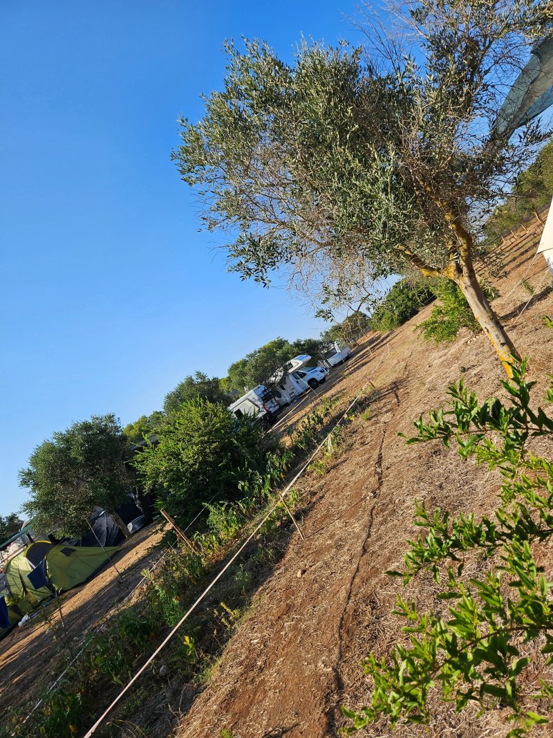 Azienda Agricola Prete Agricampeggio