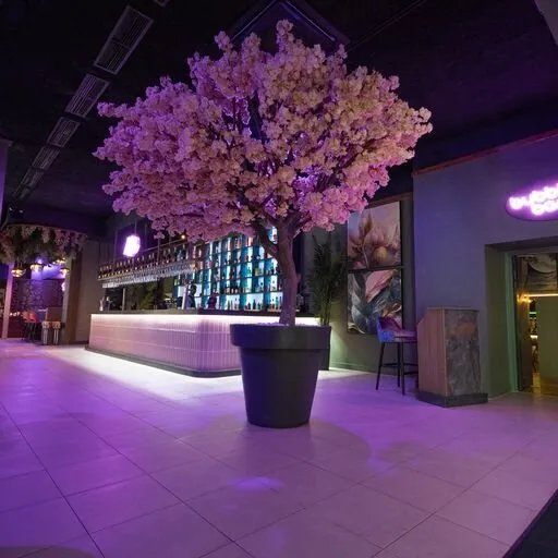 Katana Peterborough