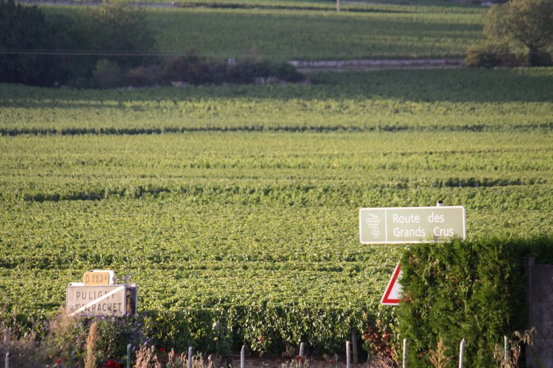 Les Nuits de Bacchus