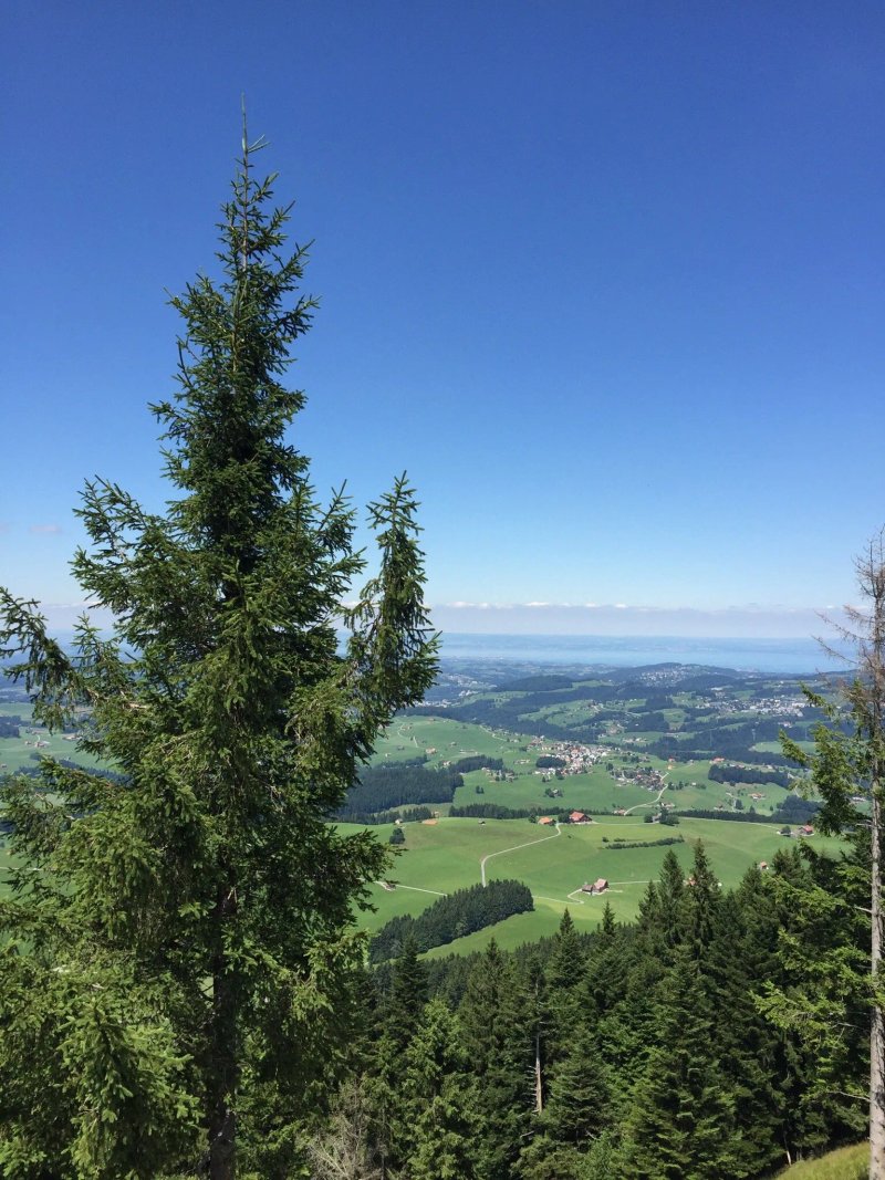 Hundwiler Hohe