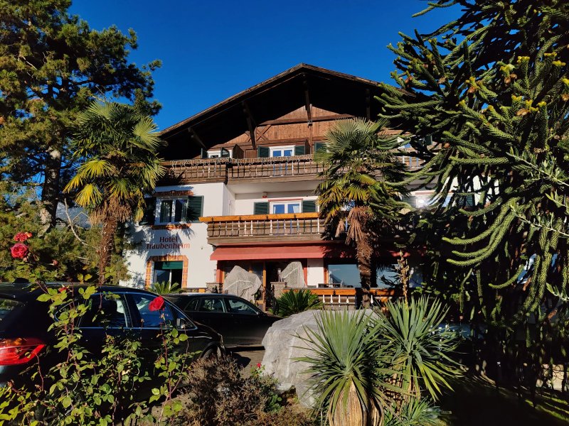 Hotel Traubenheim