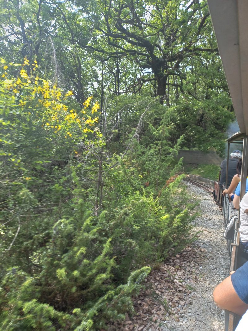Agriturismo La Collina dei Treni