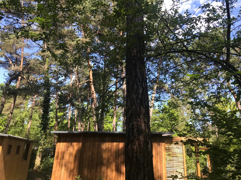 Camping La Pinède