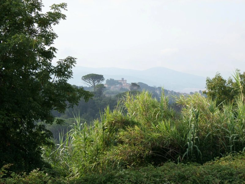 Podere Lupinaio
