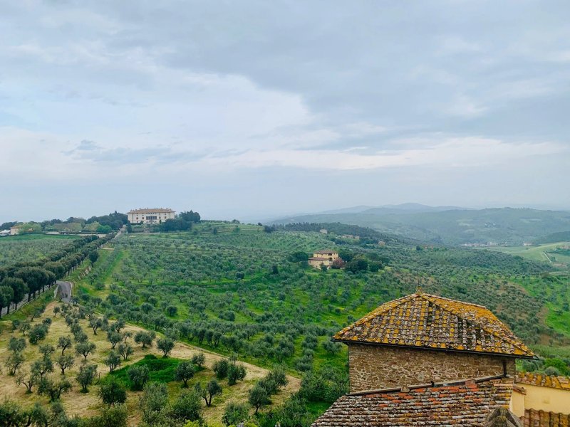 Tenuta Di Artimino Appartamenti