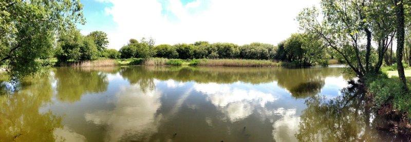 Saunton Sands Farm