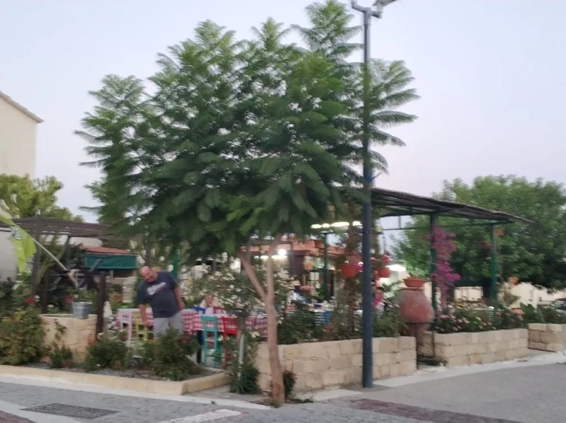 Cafe Aman Tavern
