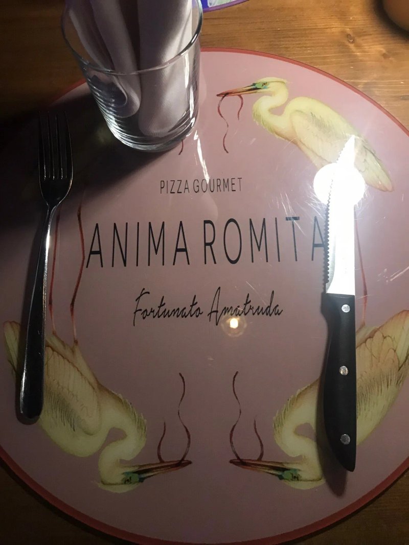 Anima Romita