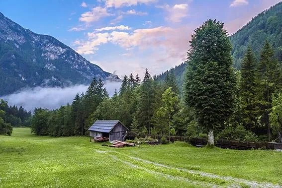 Govc Vrsnik Tourist Farm