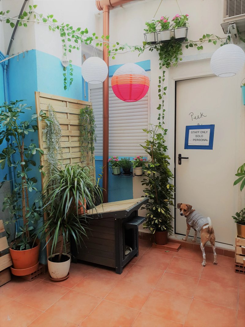 La Casa Del Colibri Youth Hostel