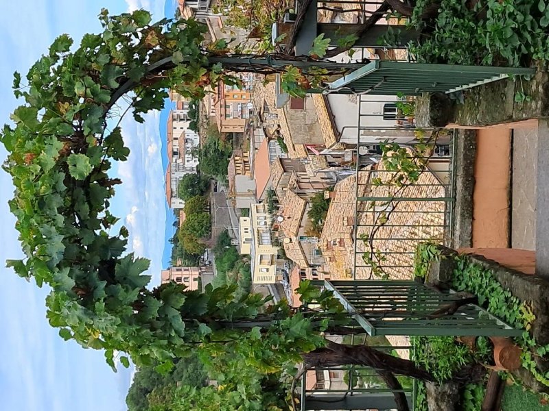 Il Carolino