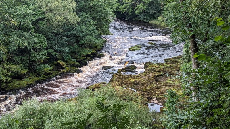 The Strid