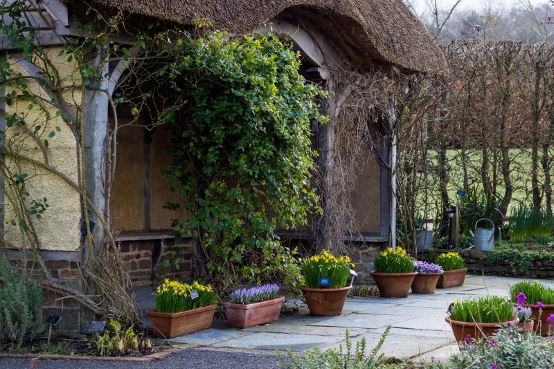 Rosemoor House Apartments