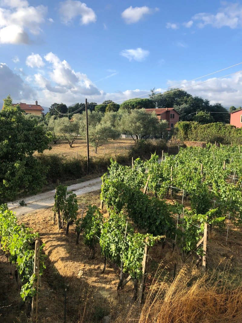 Locanda il Fornello