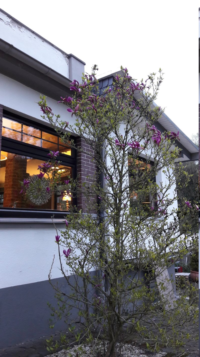 Hotel Restaurant Waldschloesschen