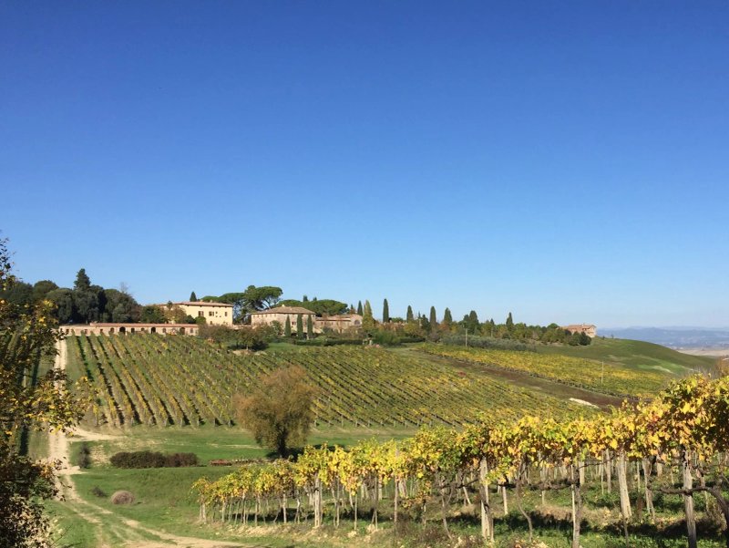 Tenuta Di Corsano