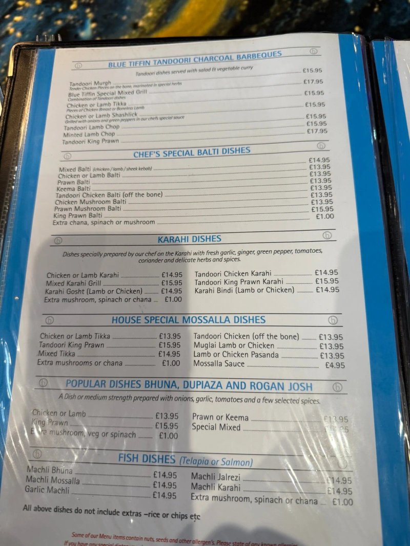 Blue Tiffin
