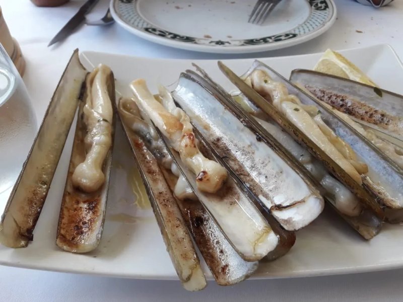 Marisqueria O'Burato Malpica
