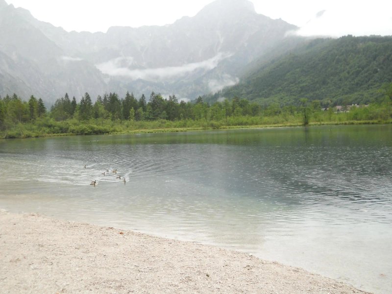 Almsee