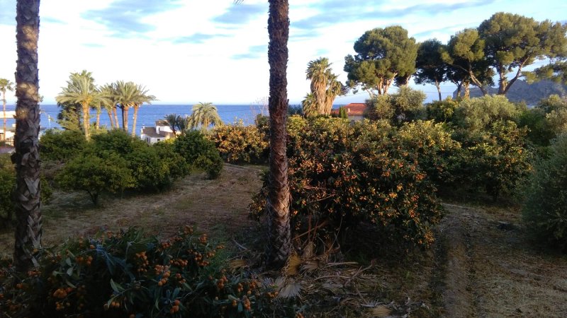 Camping Santa Clara