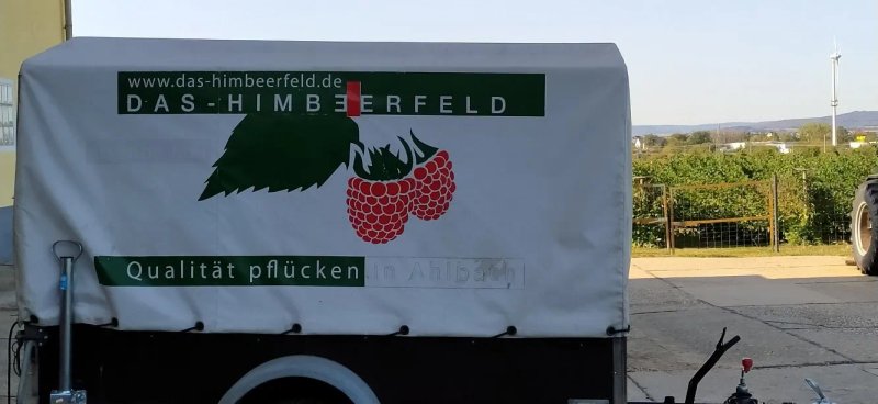 Das Himmbeerfeld