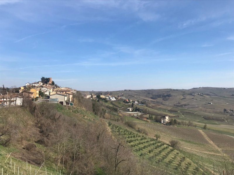 IL FEUDO NICO