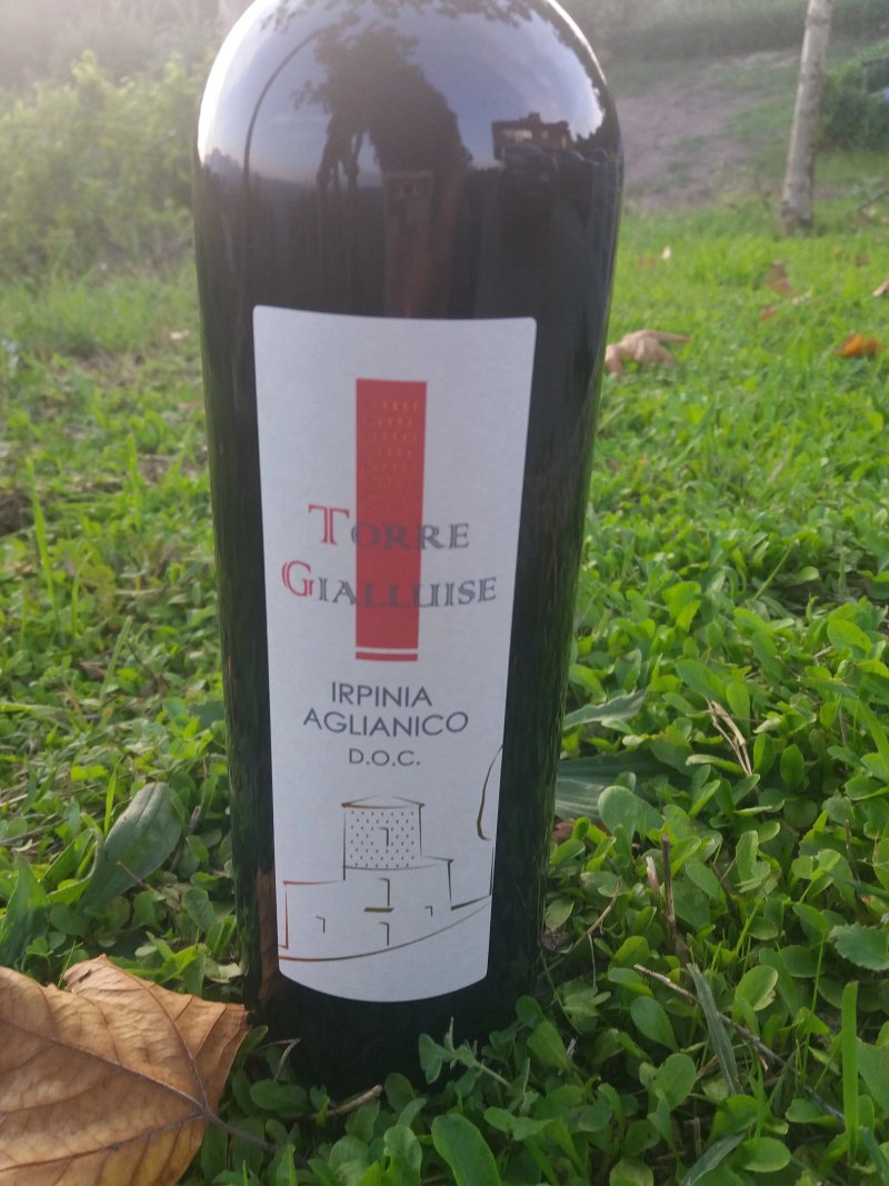 Agriturismo Torre Gialluise