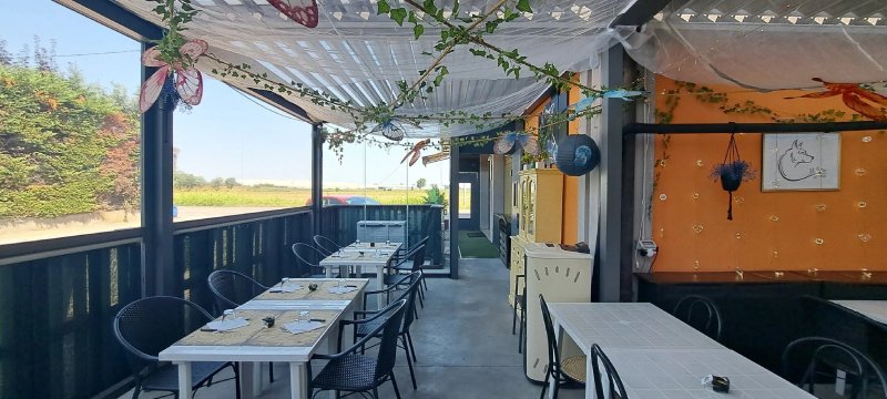 Trattoria Pizzeria Al Lupo