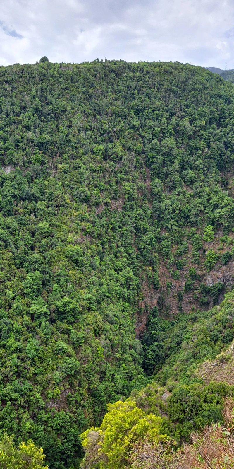 Mirador Jardín De Las Hespérides