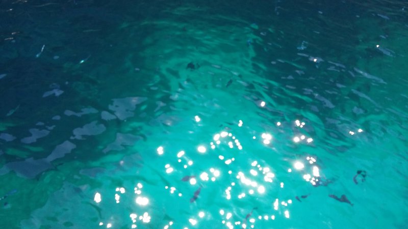 Camping Aux Portes De Cassis