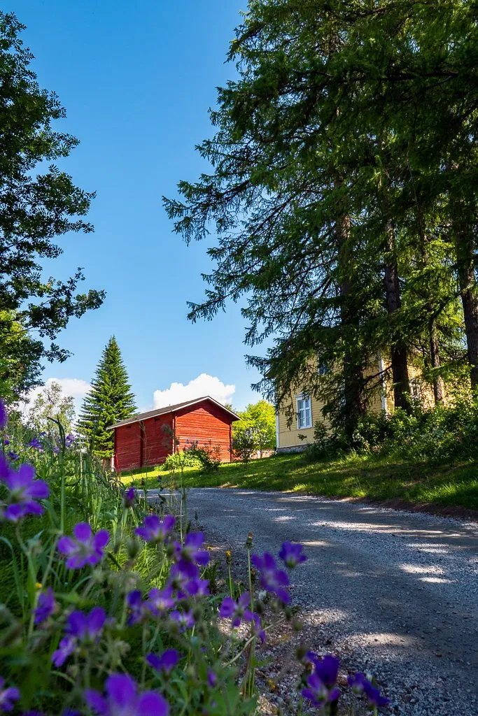 HAAPALA