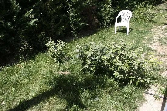 Résidence Goélia Le Mas Des Arènes
