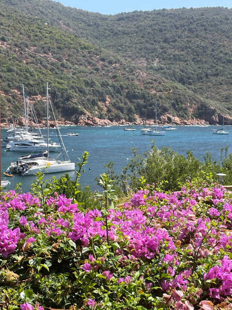 Balagne Aventures Corsica, promenades, excursions en bateau à Sant Ambroggio,en Balagne, en Corse