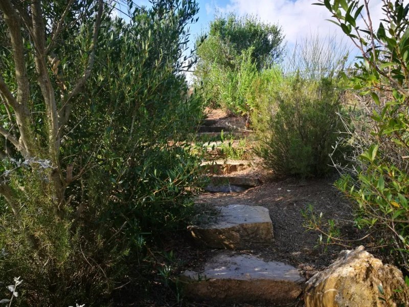 Borgo Fontale