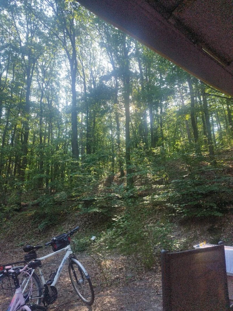 Schwielowsee-Camping