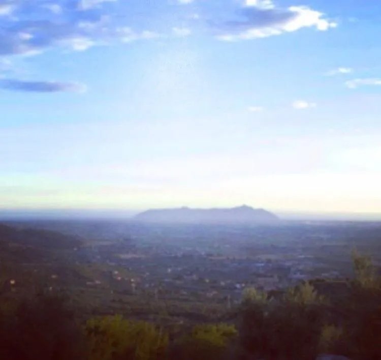 Tenuta Palma