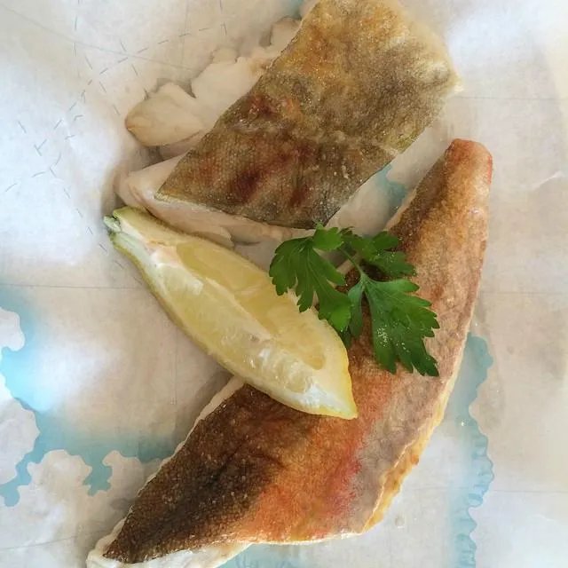 Rockfish Plymouth