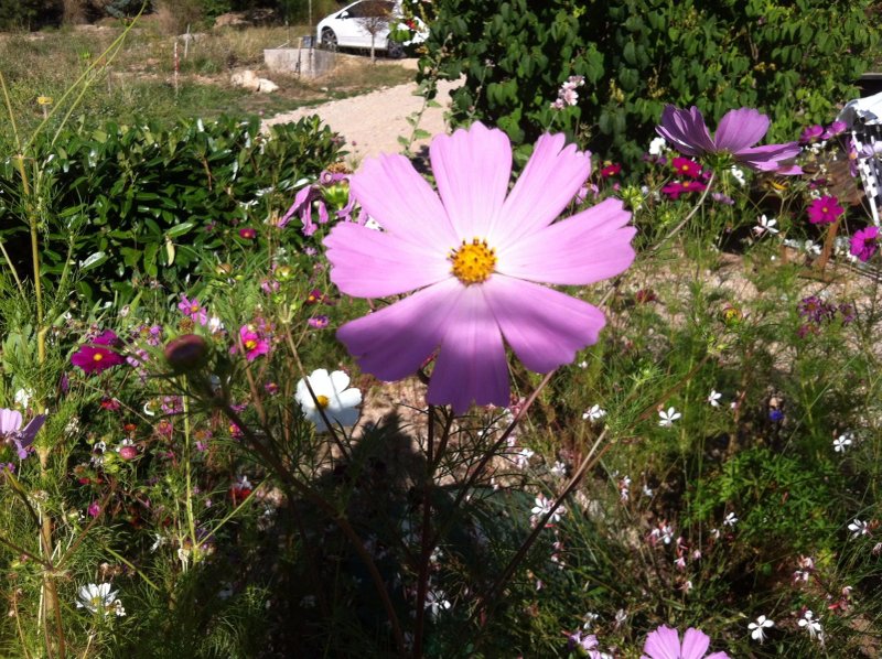 Le Moulin En Provence