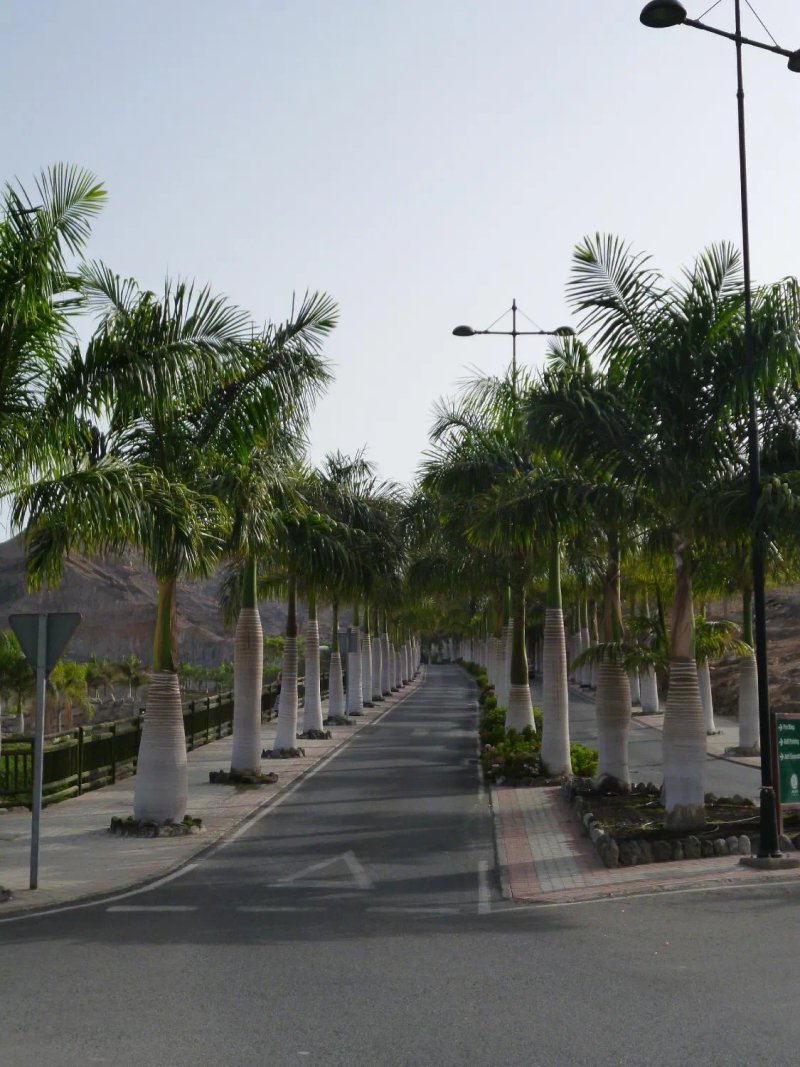 Anfi Opal Villas