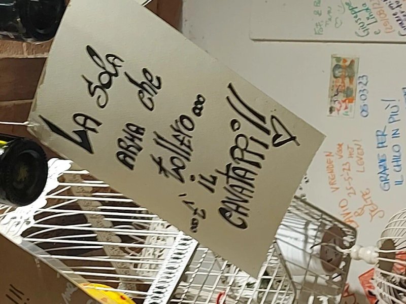 Baccano Il Panino Toscano
