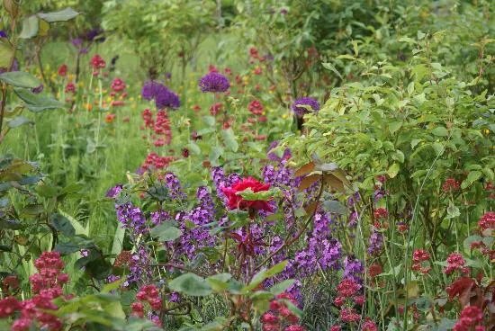 Boonshill Farm